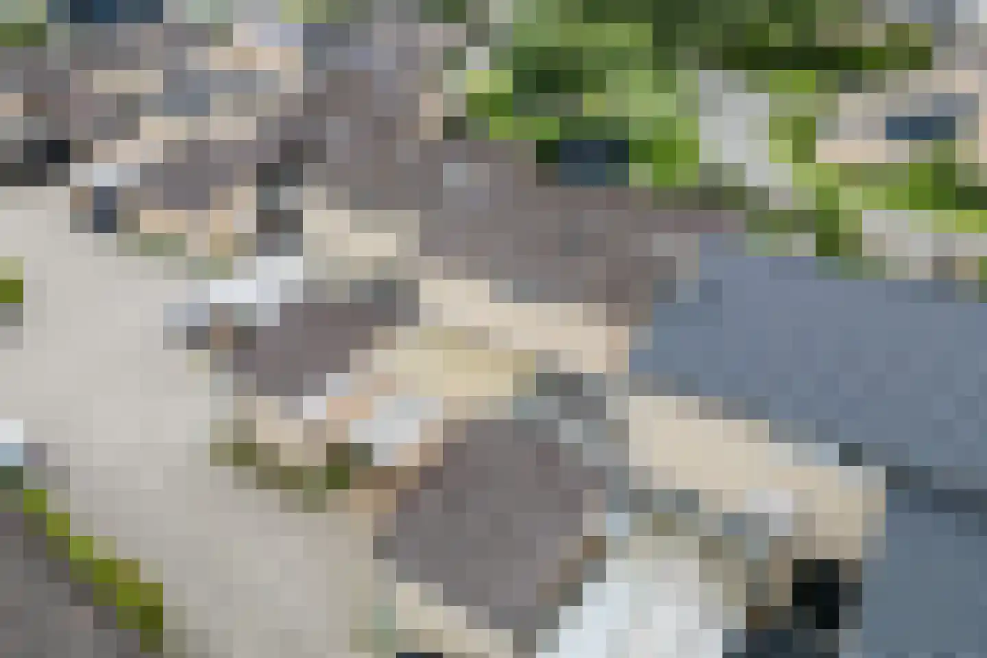 Tapuitlaan 70 Hoogeveen thumbnail 38