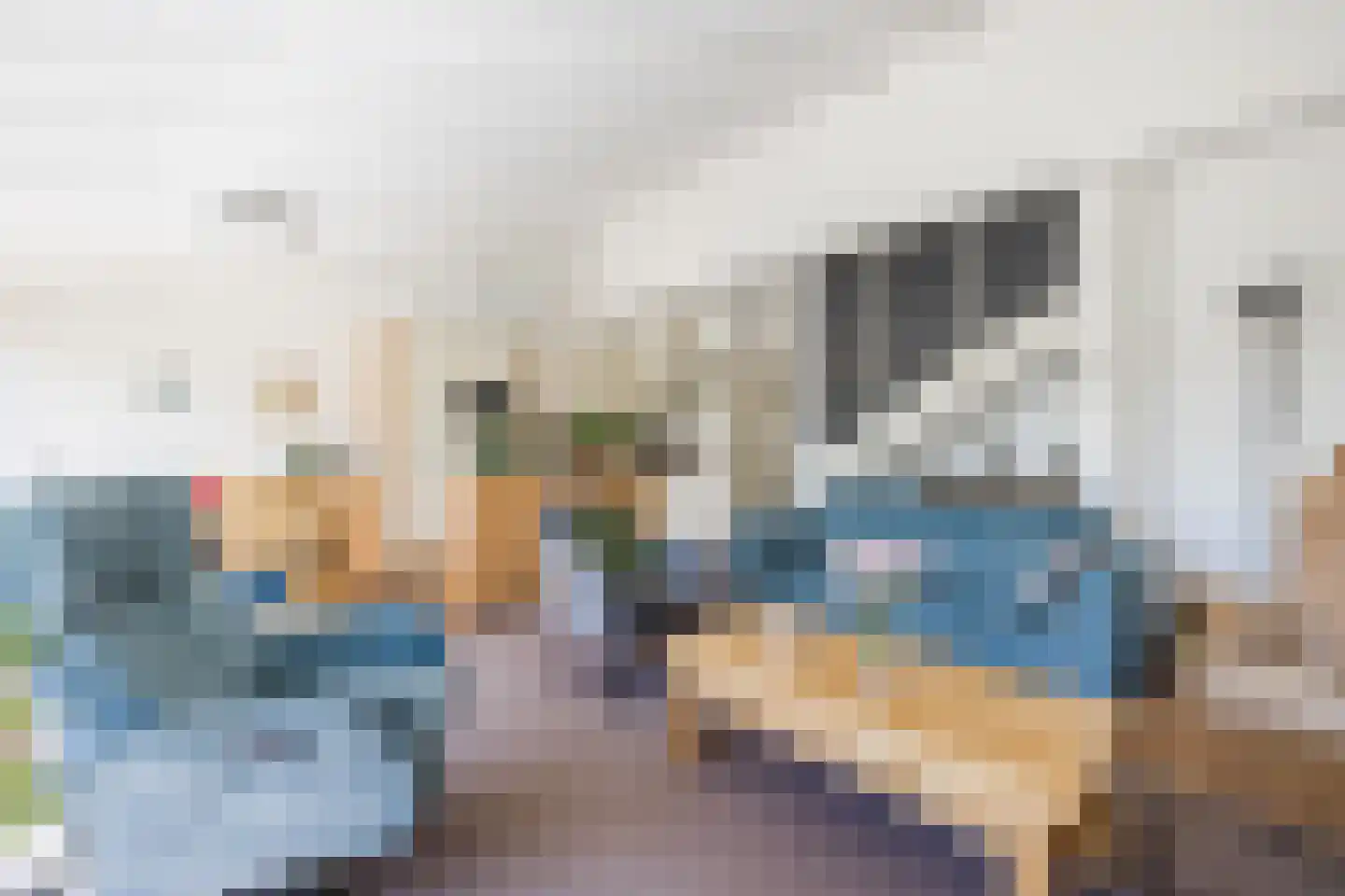 Tapuitlaan 70 Hoogeveen thumbnail 6