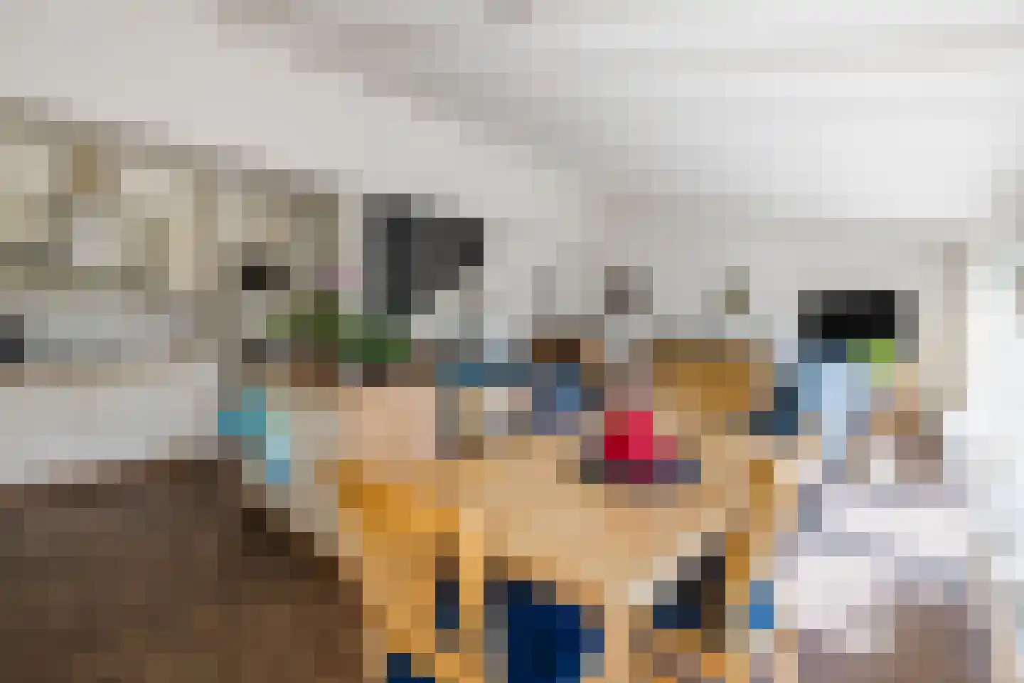 Tapuitlaan 70 Hoogeveen thumbnail 8
