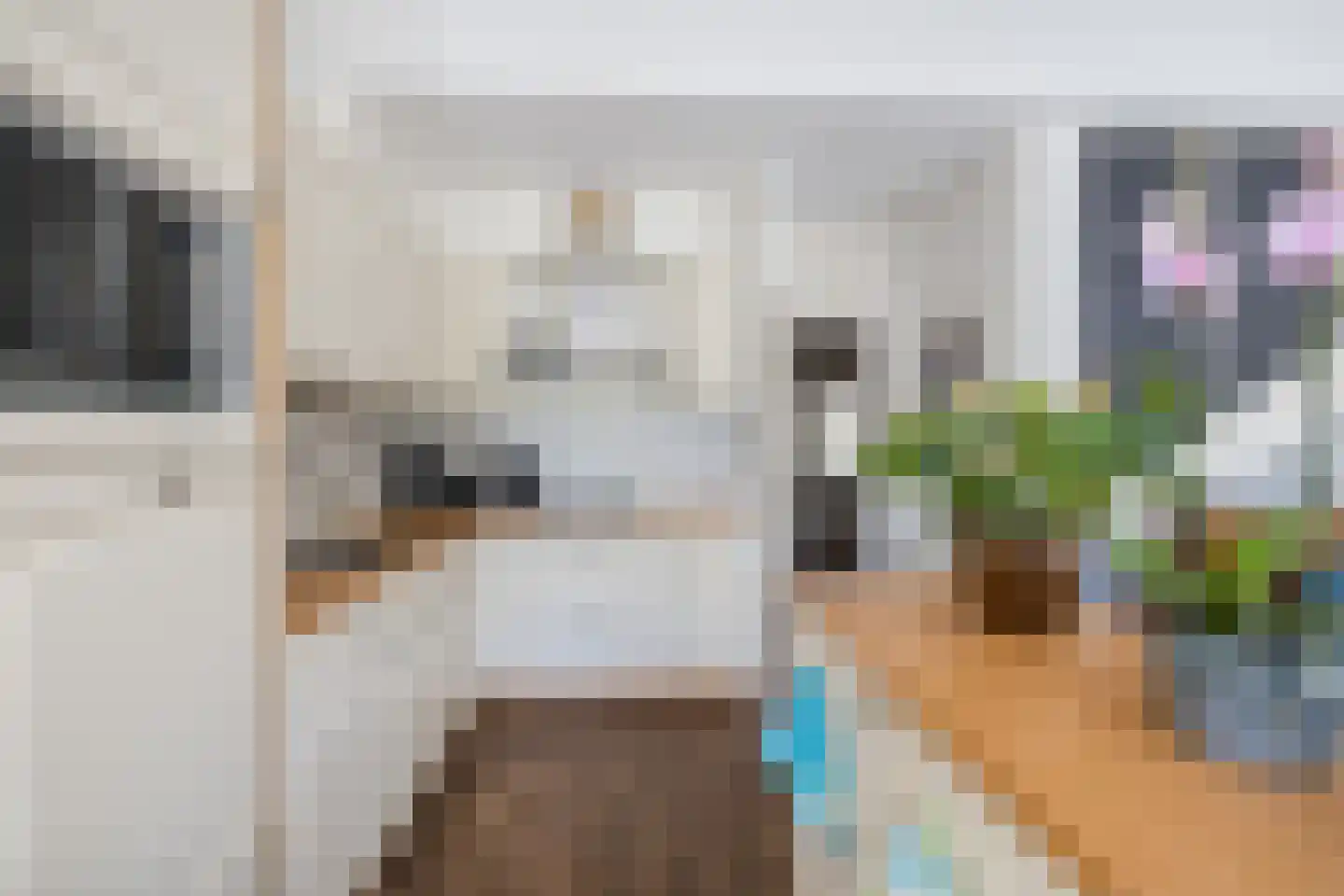 Tapuitlaan 70 Hoogeveen thumbnail 9