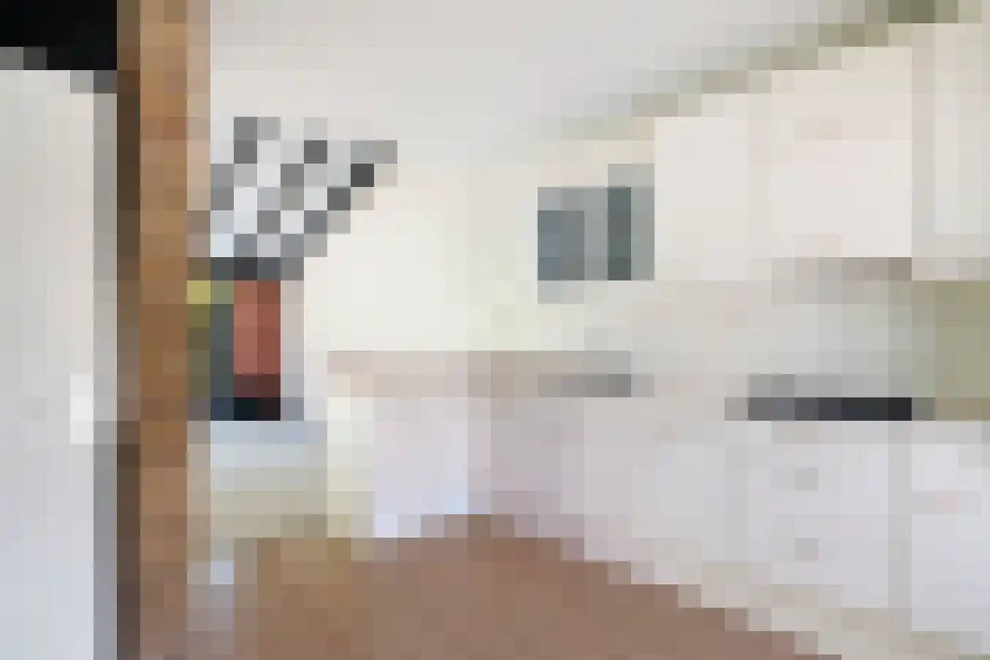 Tapuitlaan 79 Hoogeveen thumbnail 12