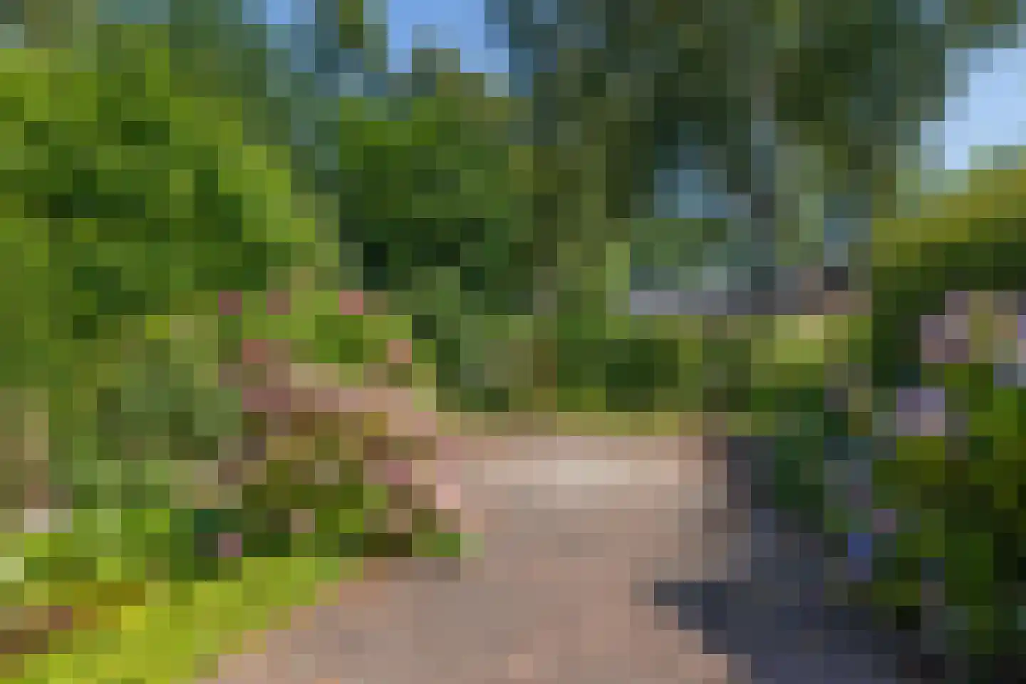 Tapuitlaan 79 Hoogeveen thumbnail 25