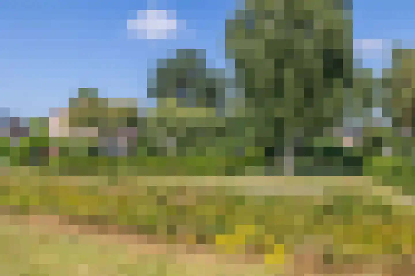 Tapuitlaan 79 Hoogeveen thumbnail 30
