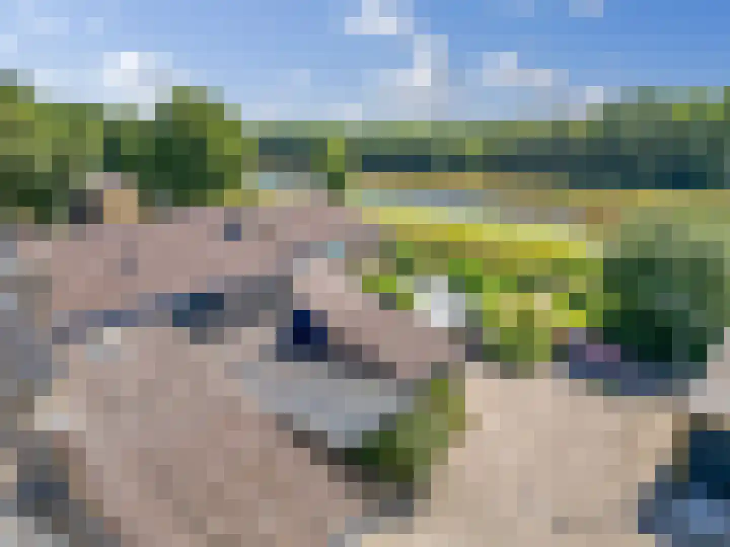 Tapuitlaan 79 Hoogeveen thumbnail 34