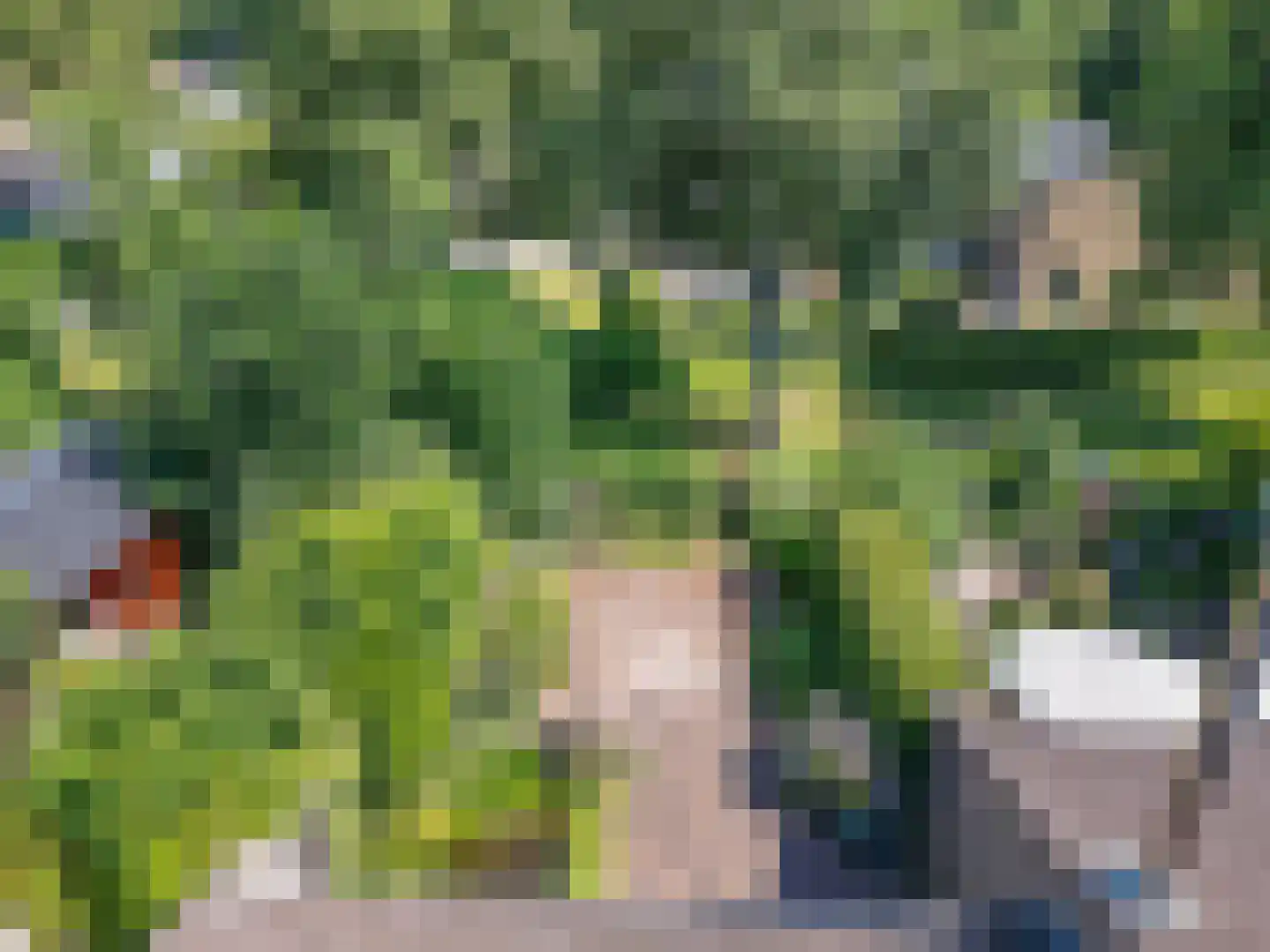 Tapuitlaan 79 Hoogeveen thumbnail 37