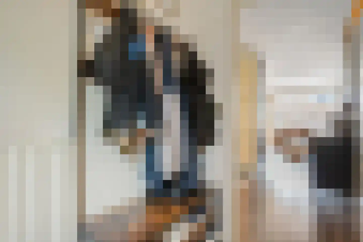 Tapuitlaan 9 Hoogeveen thumbnail 10