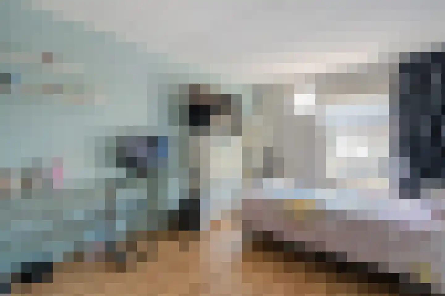 Tapuitlaan 9 Hoogeveen thumbnail 18