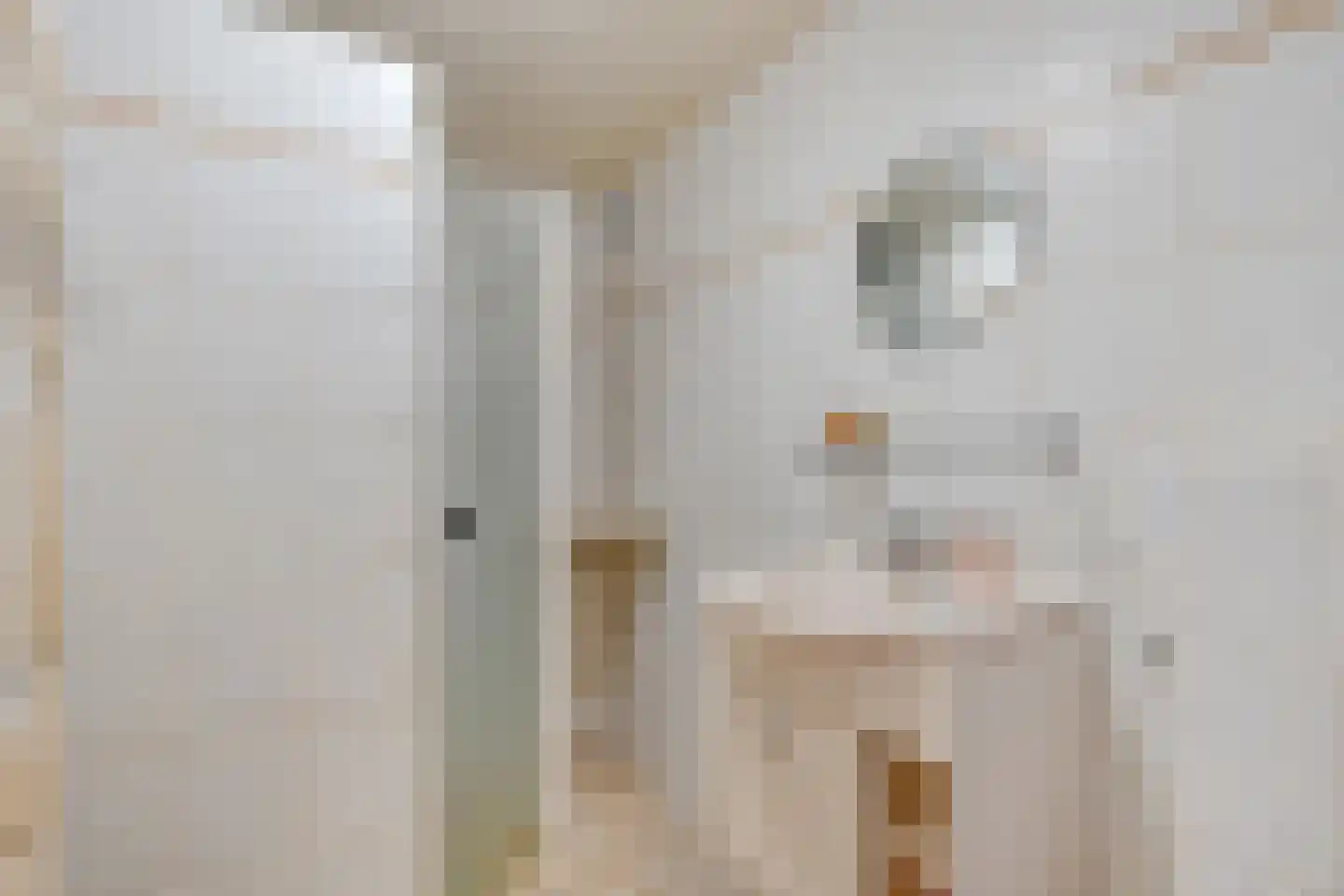Tapuitlaan 9 Hoogeveen thumbnail 20