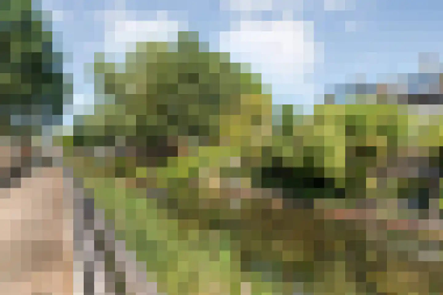 Tapuitlaan 9 Hoogeveen thumbnail 38