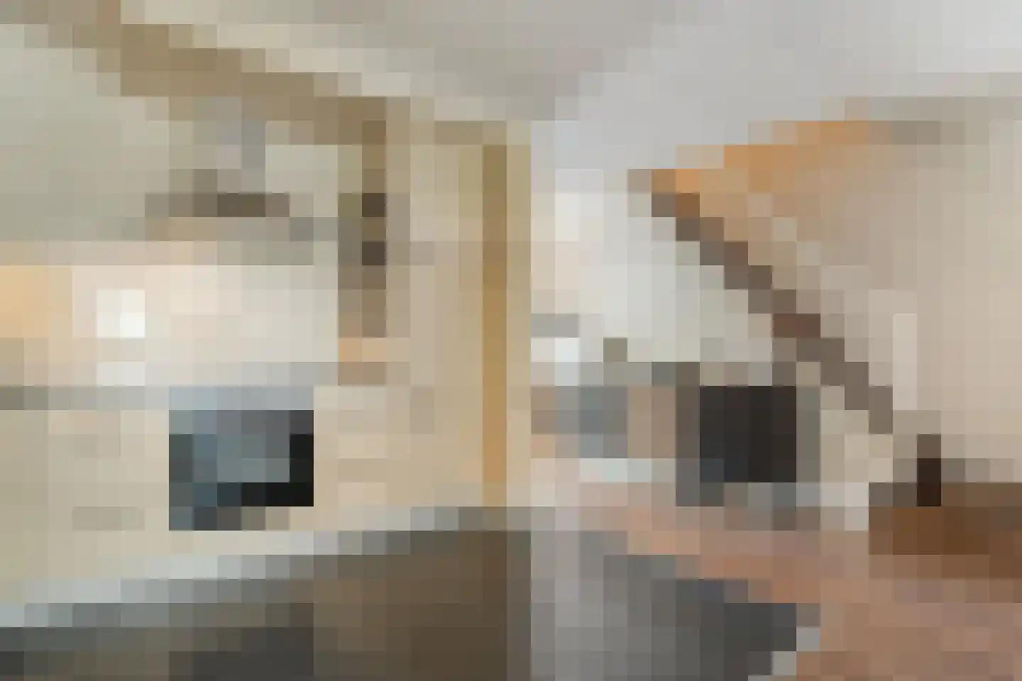 Tapuitlaan 9 Hoogeveen thumbnail 9