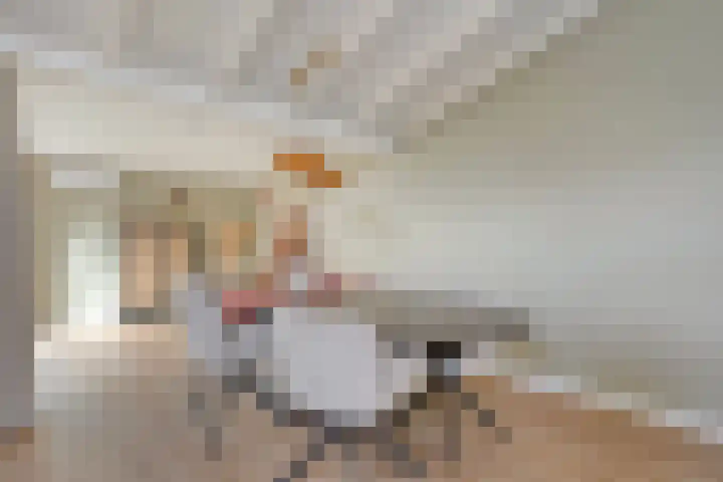 Tapuitlaan 97 Hoogeveen thumbnail 10