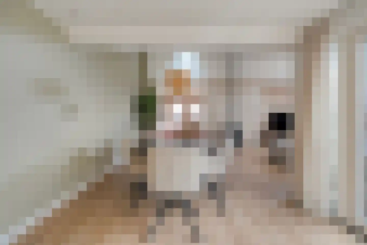 Tapuitlaan 97 Hoogeveen thumbnail 11