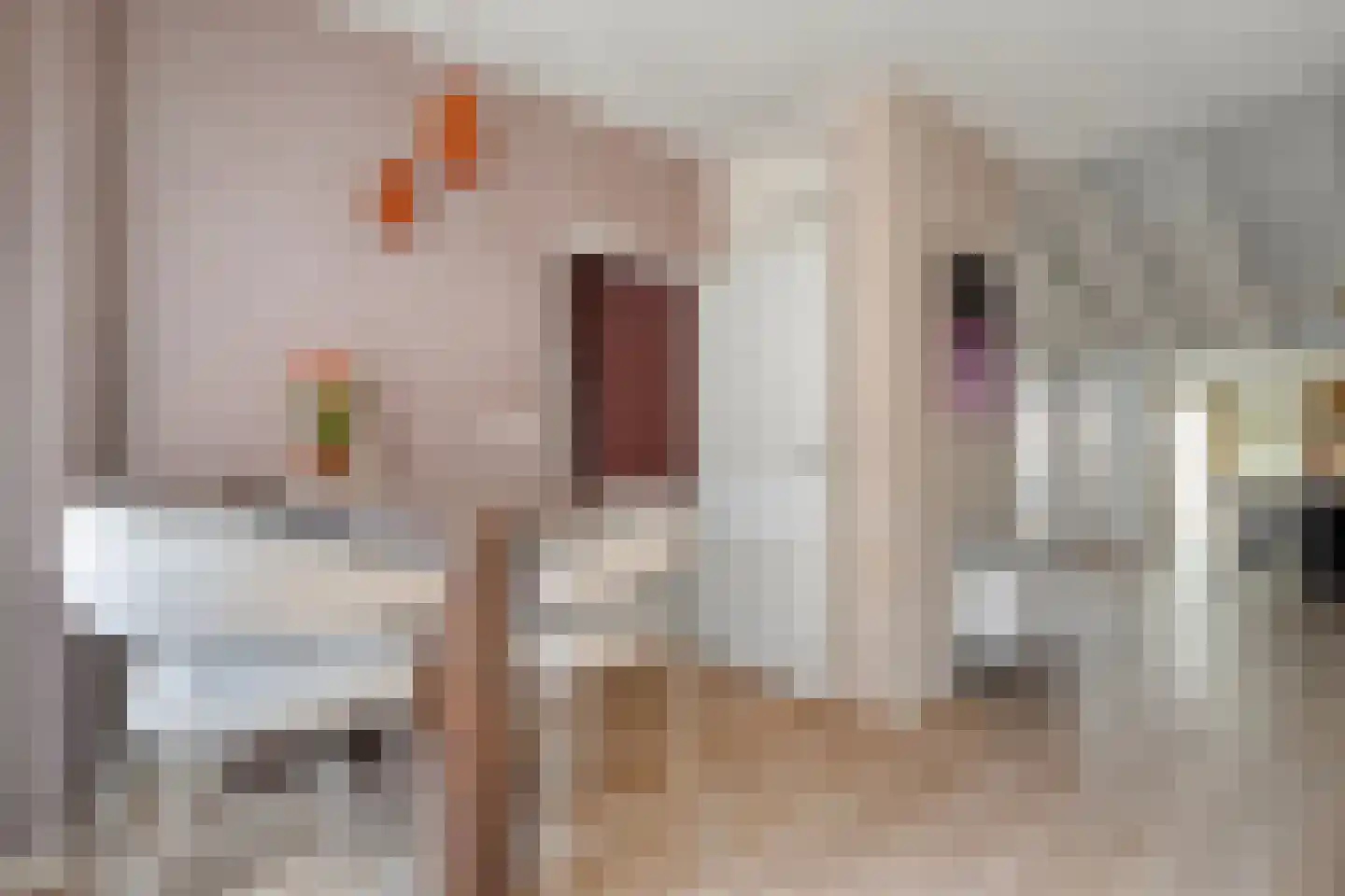 Tapuitlaan 97 Hoogeveen thumbnail 12