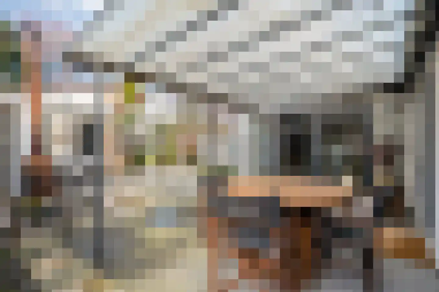 Tapuitlaan 97 Hoogeveen thumbnail 38