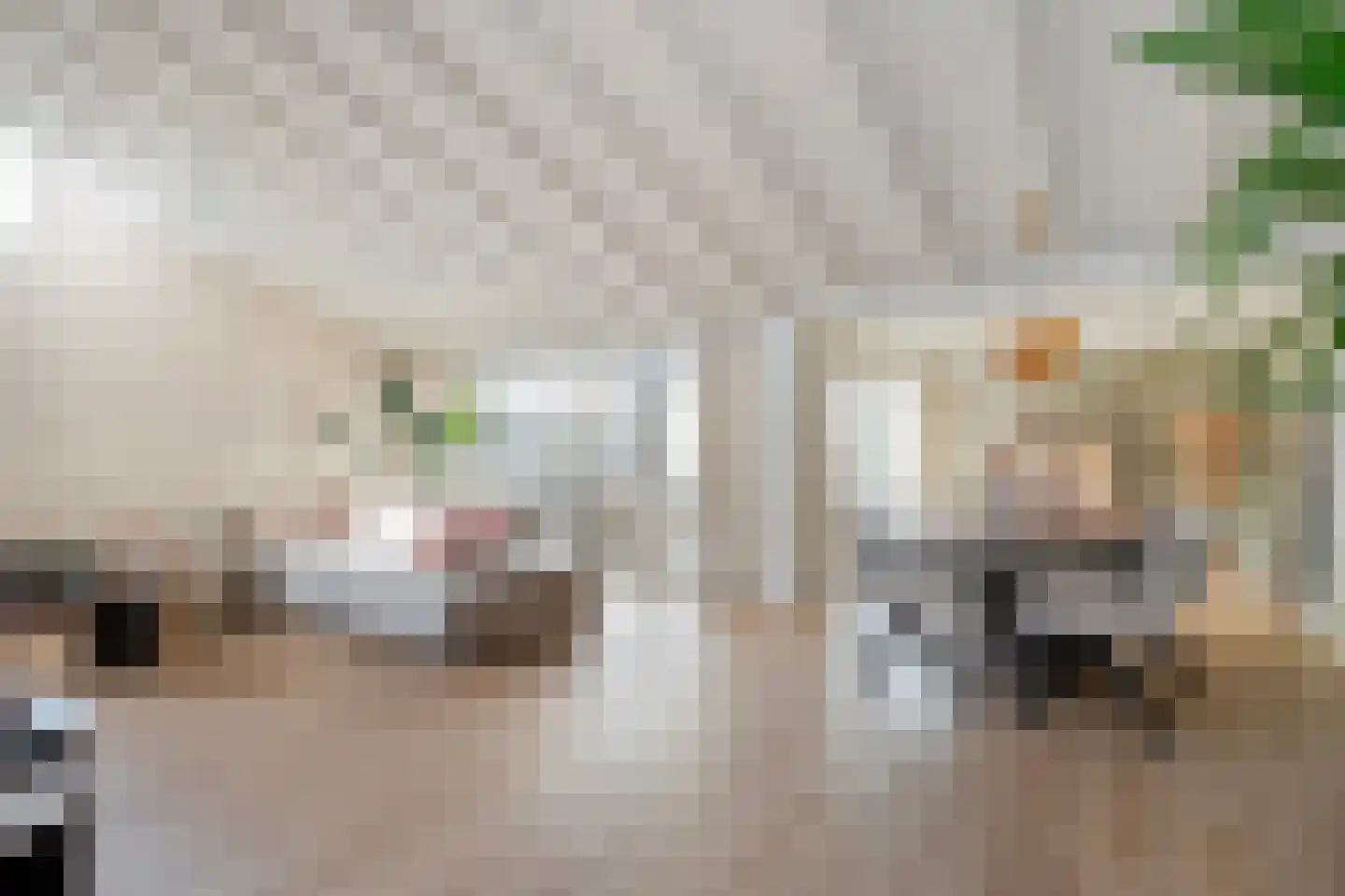Tapuitlaan 97 Hoogeveen thumbnail 4
