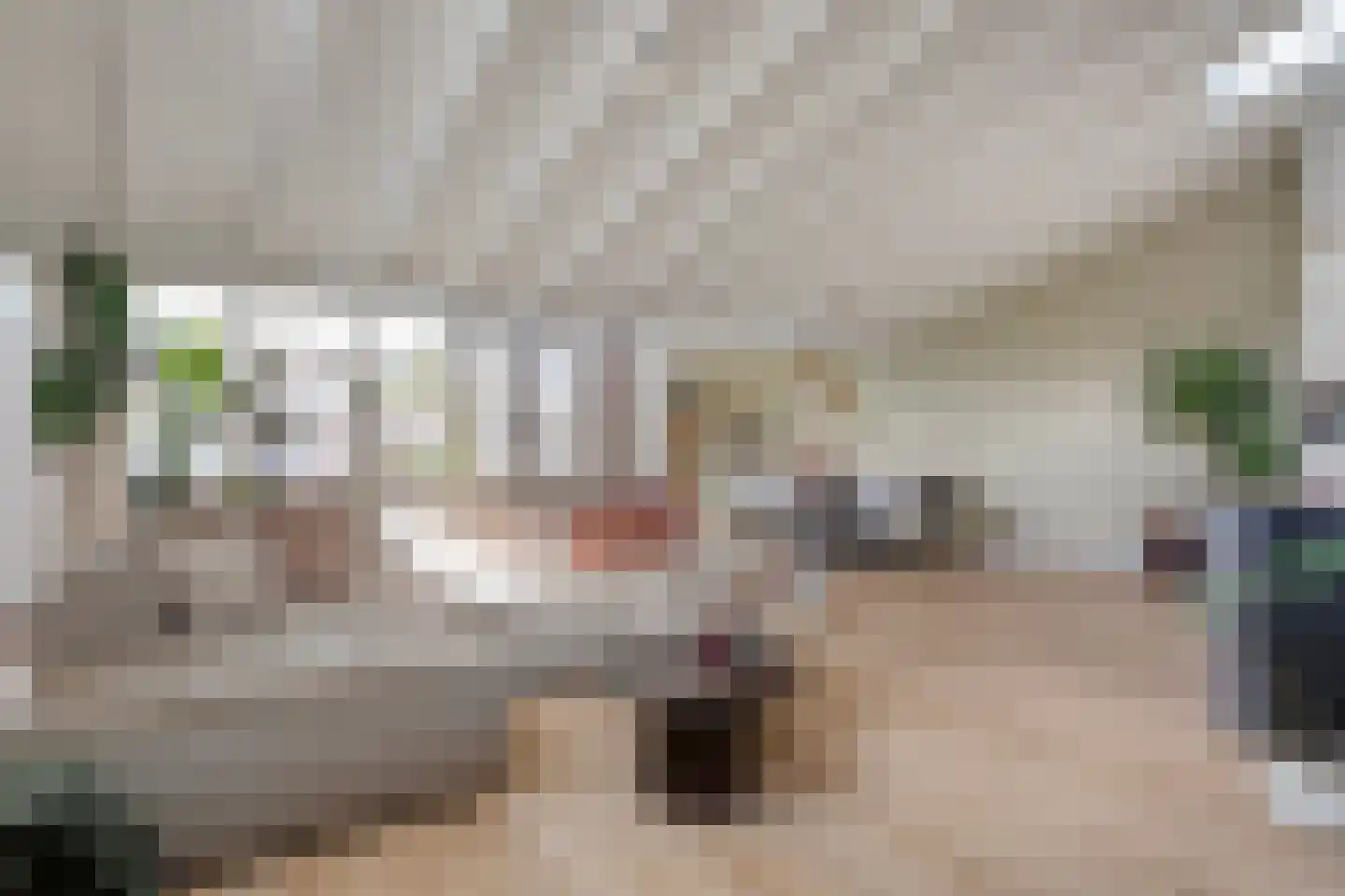 Tapuitlaan 97 Hoogeveen thumbnail 5