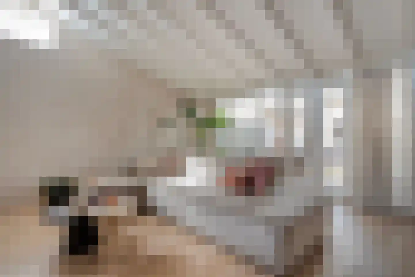 Tapuitlaan 97 Hoogeveen thumbnail 6