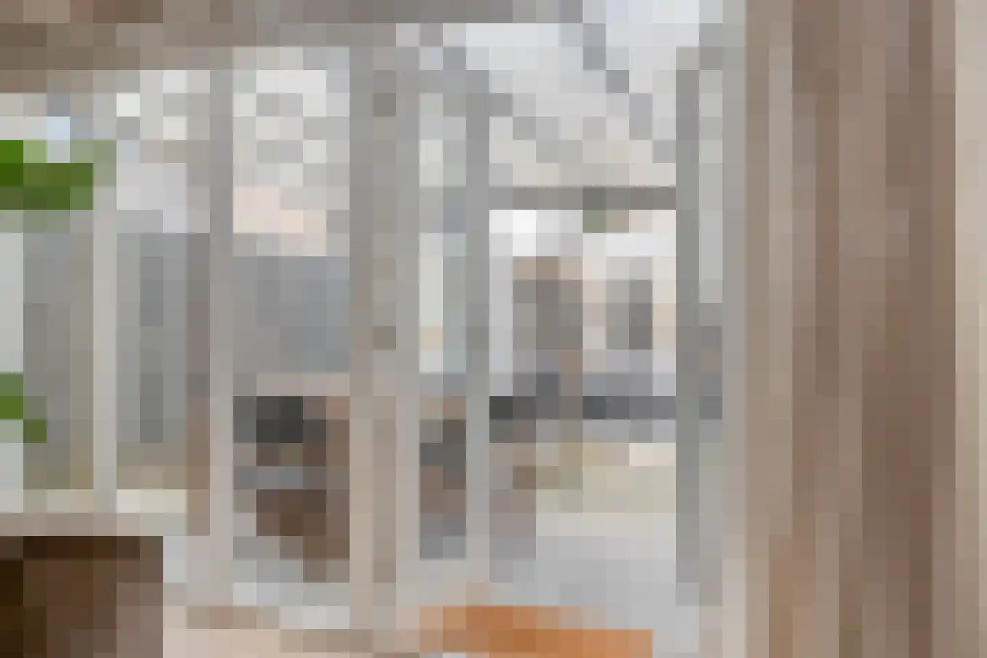 Tapuitlaan 97 Hoogeveen thumbnail 9