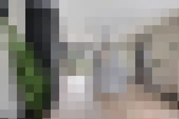Tapuitstraat 11 de Lutte thumbnail 11