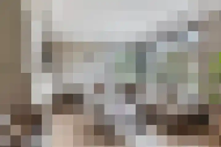 Tapuitstraat 11 de Lutte thumbnail 14