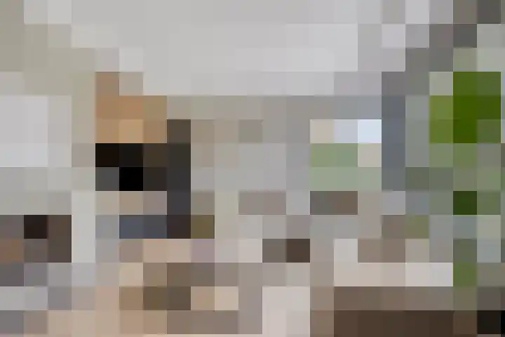 Tapuitstraat 11 de Lutte thumbnail 15