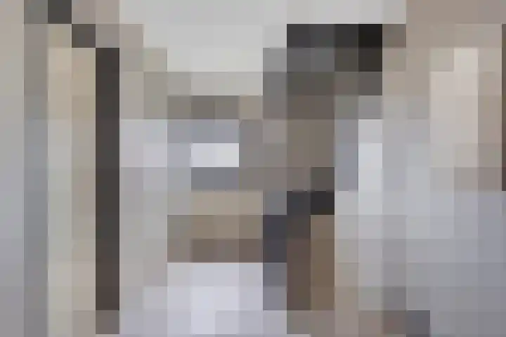 Tapuitstraat 11 de Lutte thumbnail 18
