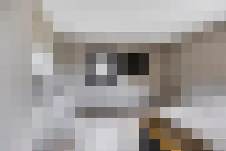Tapuitstraat 11 de Lutte thumbnail 20