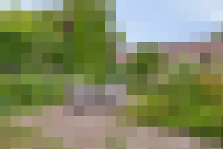 Tapuitstraat 11 de Lutte thumbnail 34