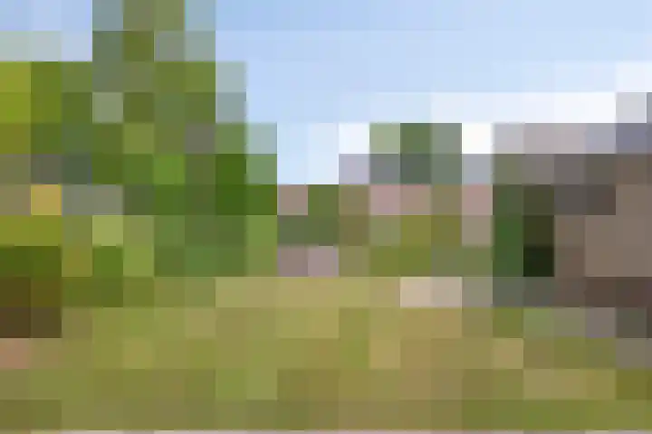 Tapuitstraat 11 de Lutte thumbnail 5