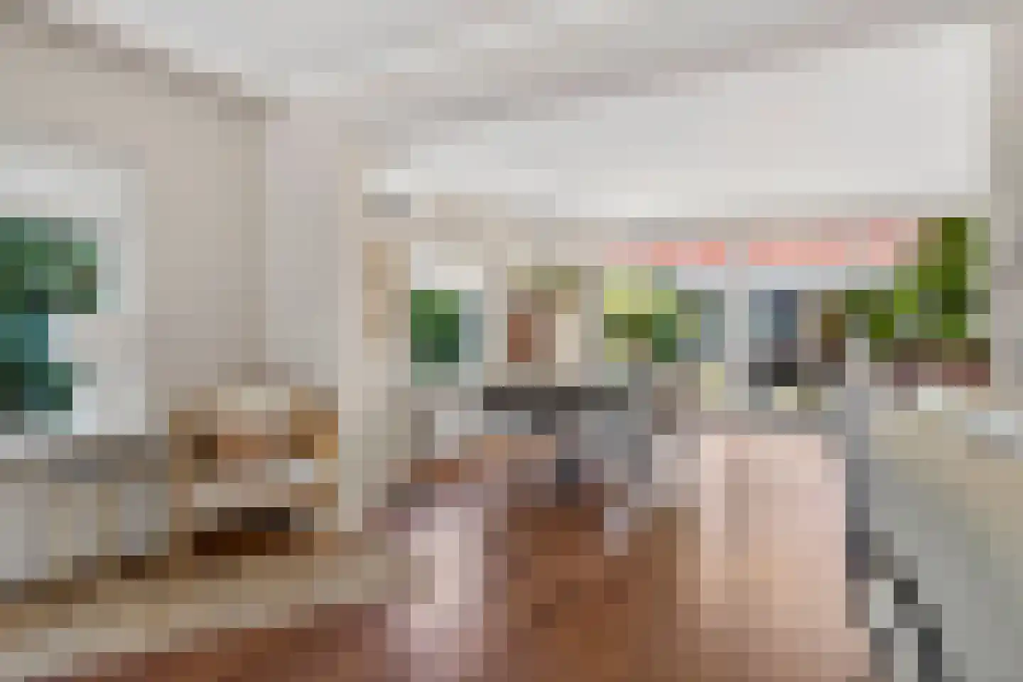Tapuitstraat 14 Hengelo thumbnail 21