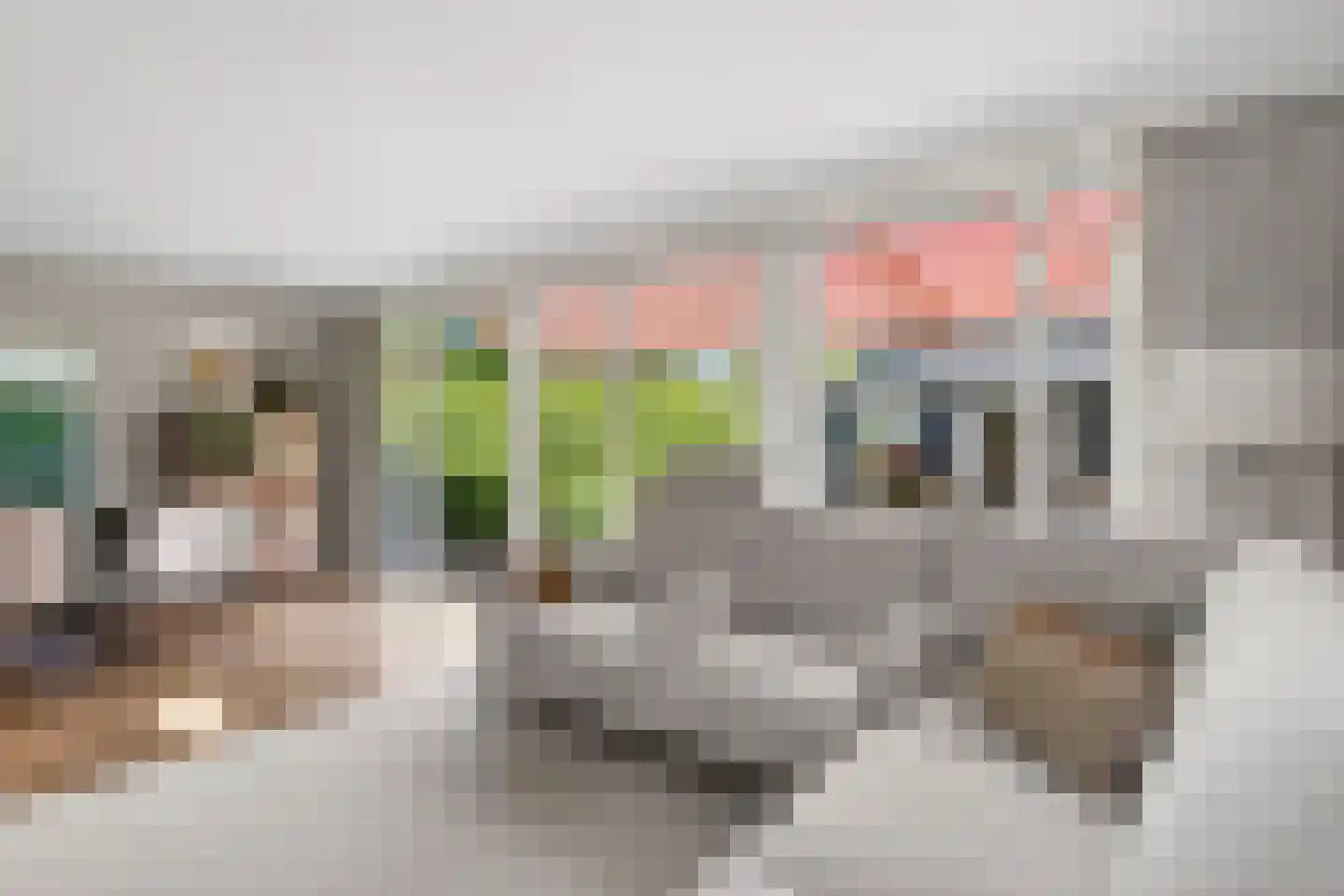 Tapuitstraat 14 Hengelo thumbnail 26