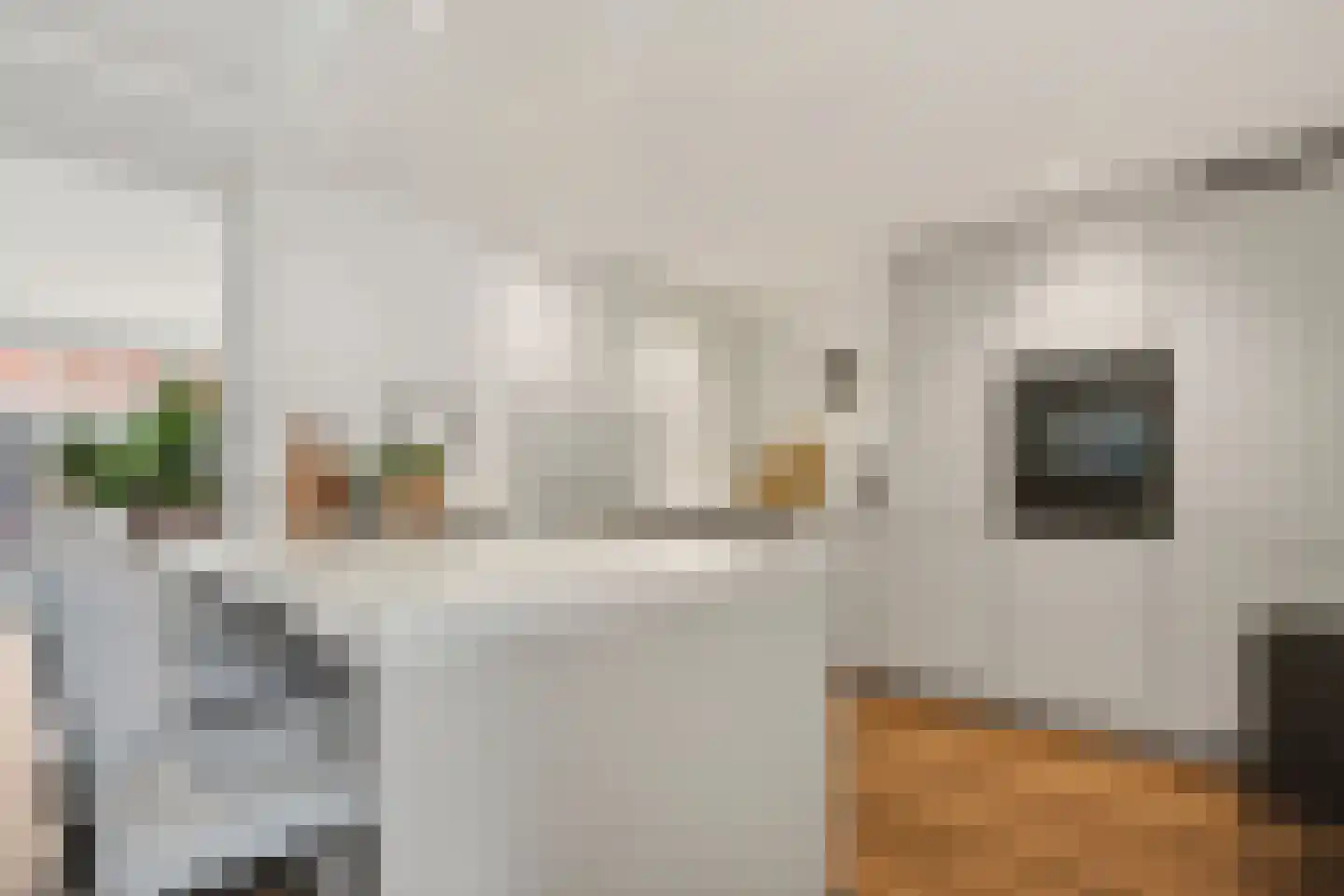 Tapuitstraat 14 Hengelo thumbnail 55
