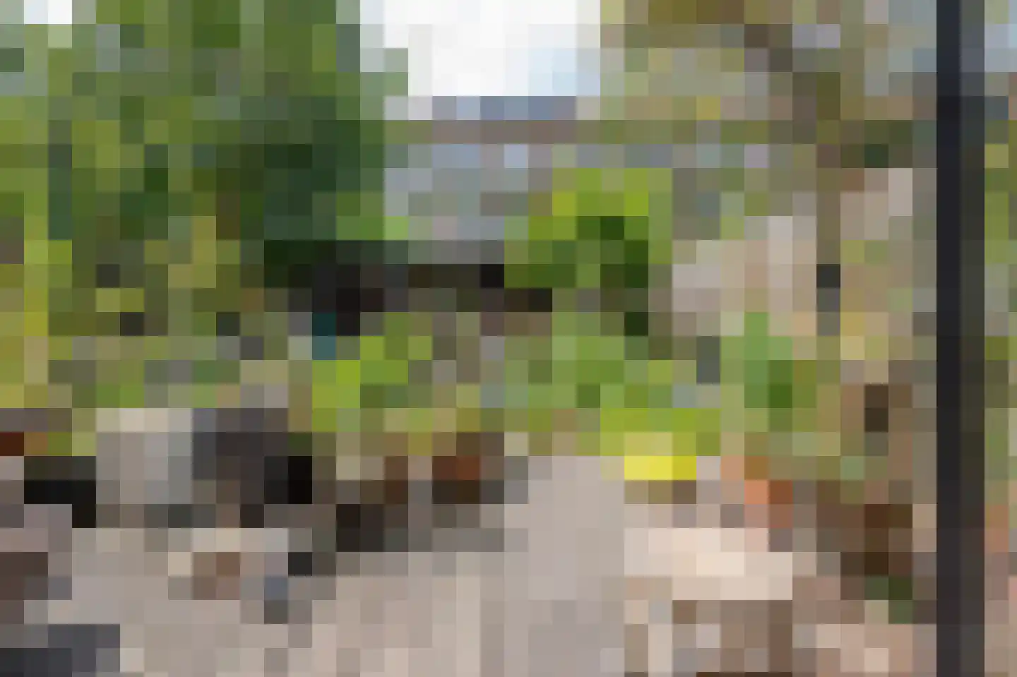Tapuitstraat 19 A Rotterdam thumbnail 5