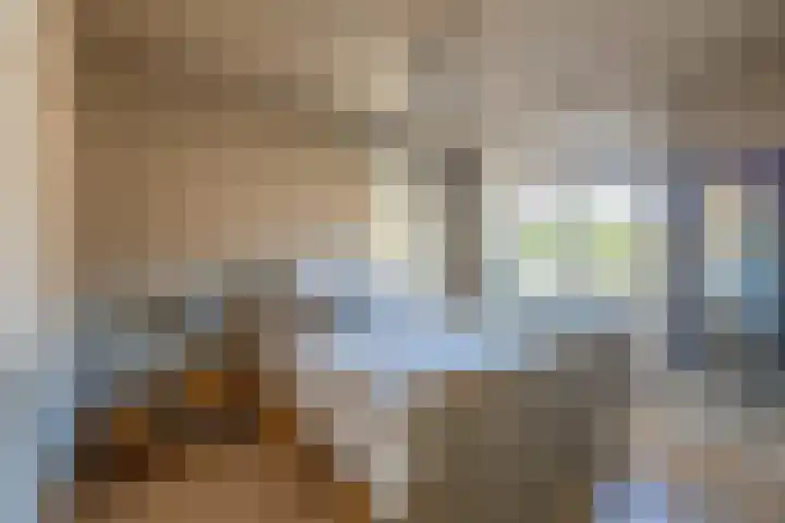 Tapuitstraat 25 Schoonhoven thumbnail 30