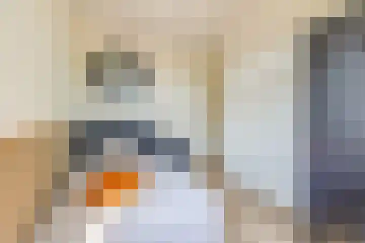 Tapuitstraat 25 Schoonhoven thumbnail 38