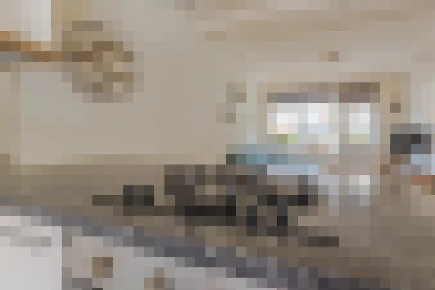 Tapuitstraat 3 B Rotterdam thumbnail 12