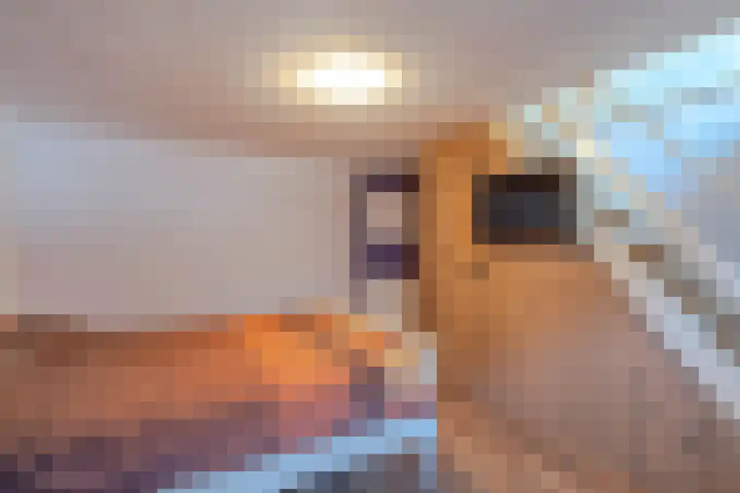 Tapuitstraat 3 B Rotterdam thumbnail 21