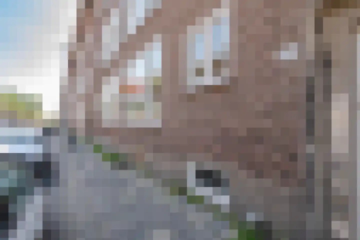Tapuitstraat 3 B Rotterdam thumbnail 7