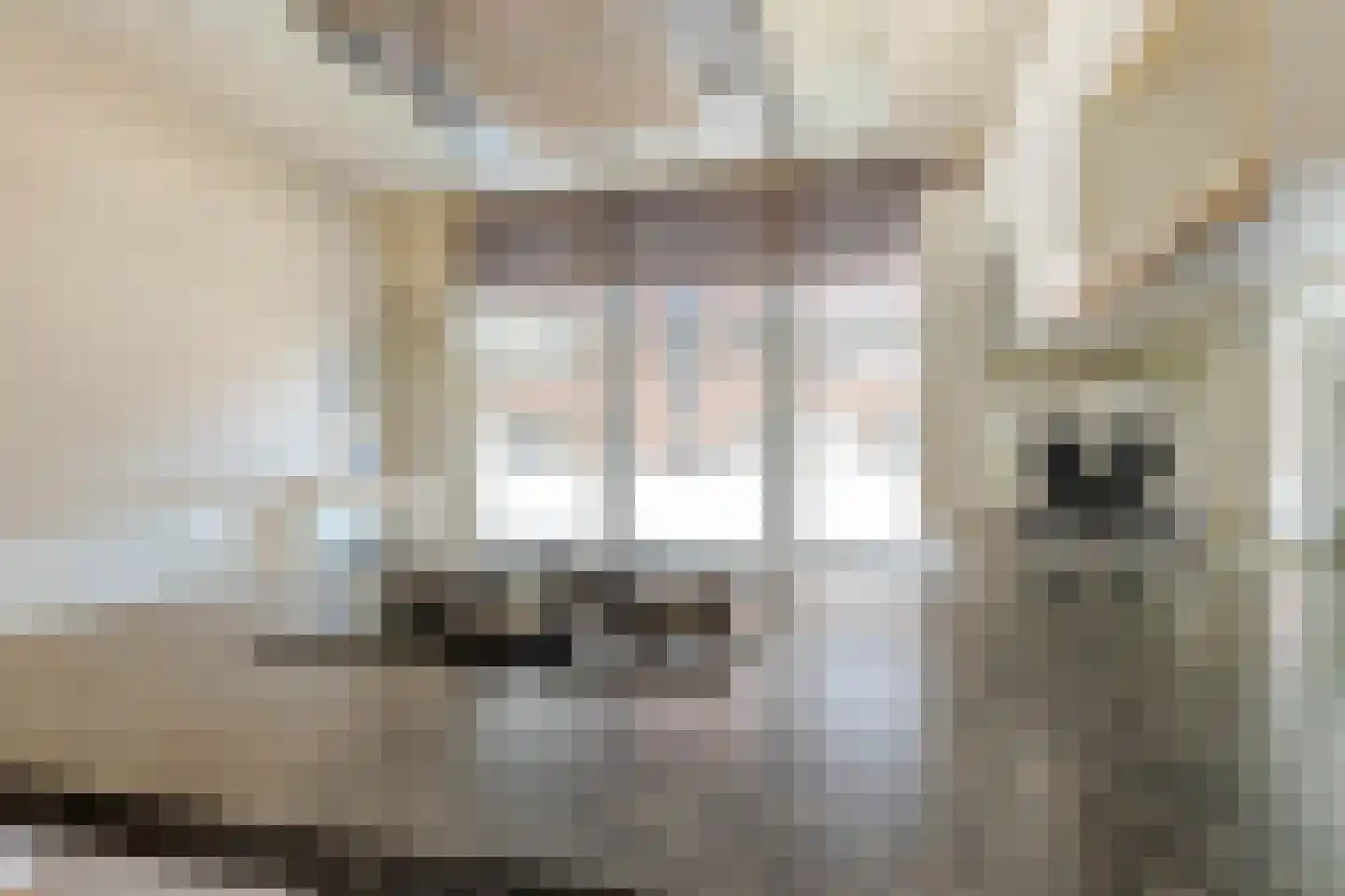 Tapuitstraat 3 C Rotterdam thumbnail 13