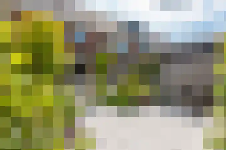 Tapuitstraat 33 Schoonhoven thumbnail 4