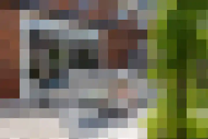 Tapuitstraat 33 Schoonhoven thumbnail 53