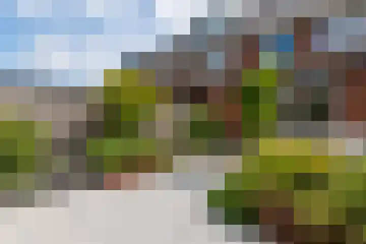 Tapuitstraat 33 Schoonhoven thumbnail 54