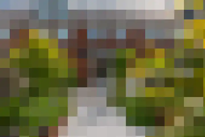 Tapuitstraat 33 Schoonhoven thumbnail 55