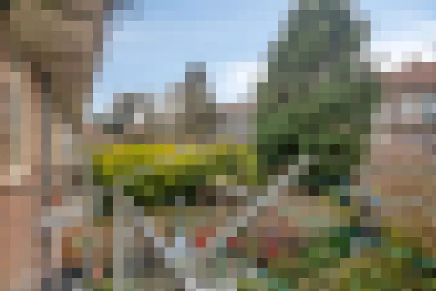 Tapuitstraat 37 A Rotterdam thumbnail 17