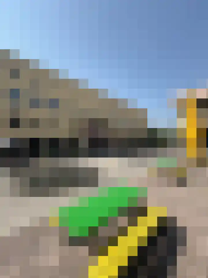 Tapuitstraat 42 C Rotterdam thumbnail 39