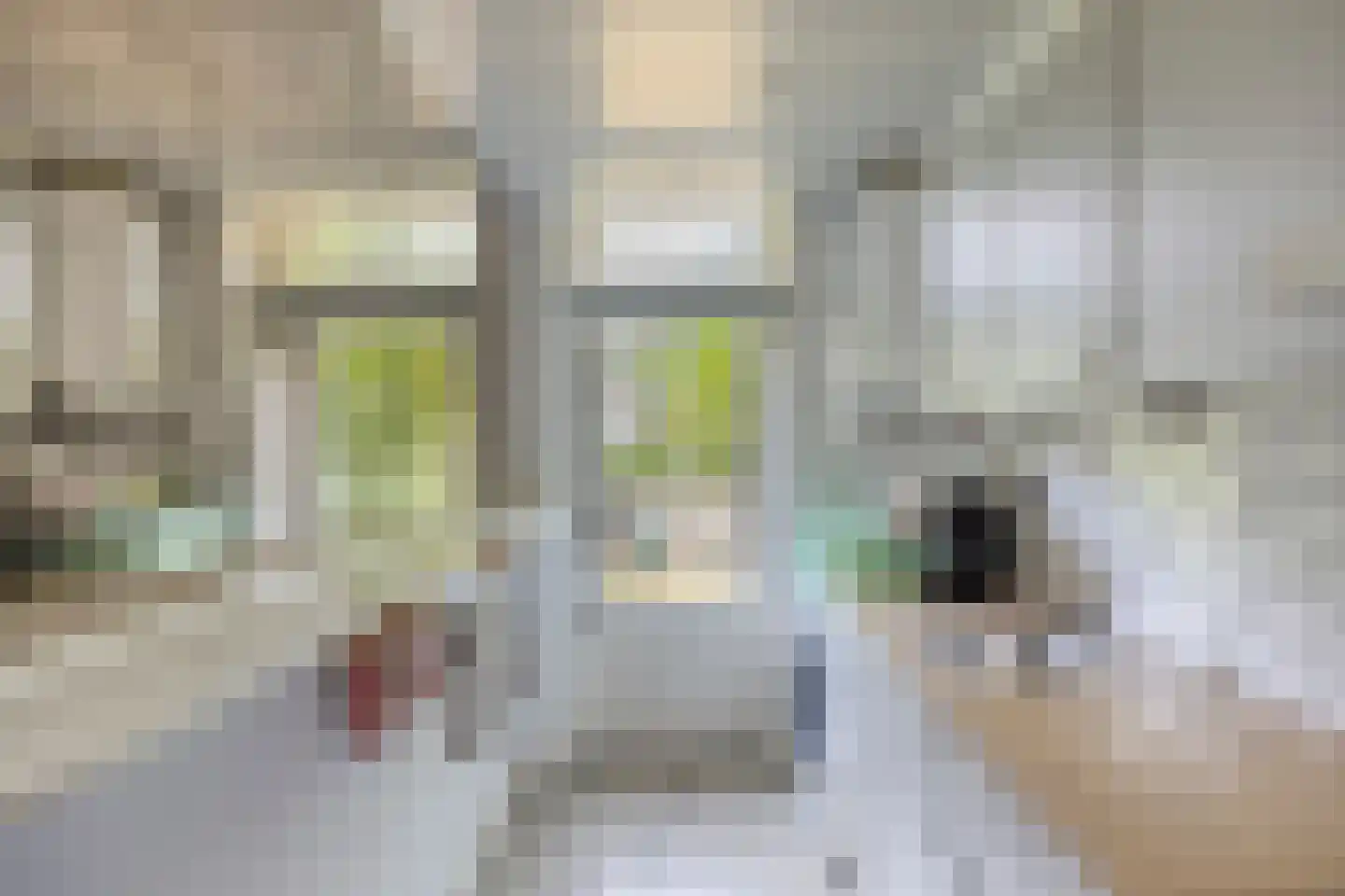 Tapuitstraat 43 A Rotterdam thumbnail 11