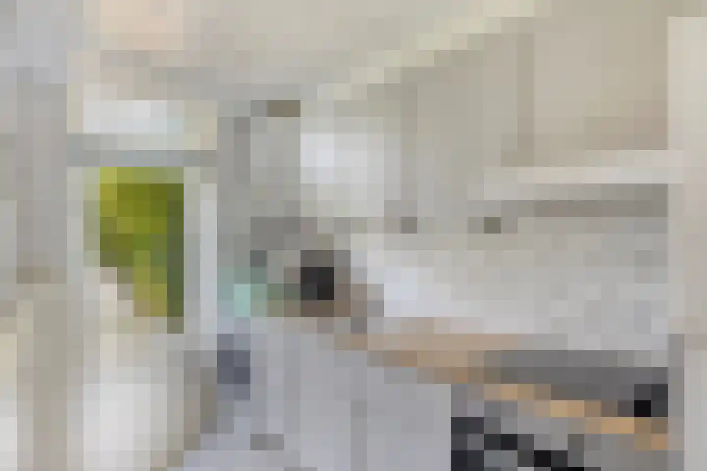 Tapuitstraat 43 A Rotterdam thumbnail 15