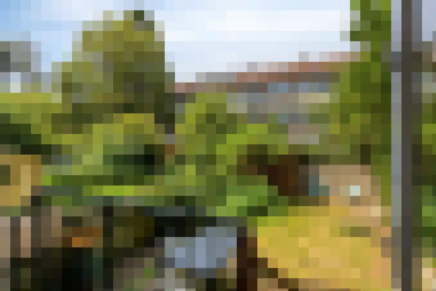 Tapuitstraat 43 A Rotterdam thumbnail 22