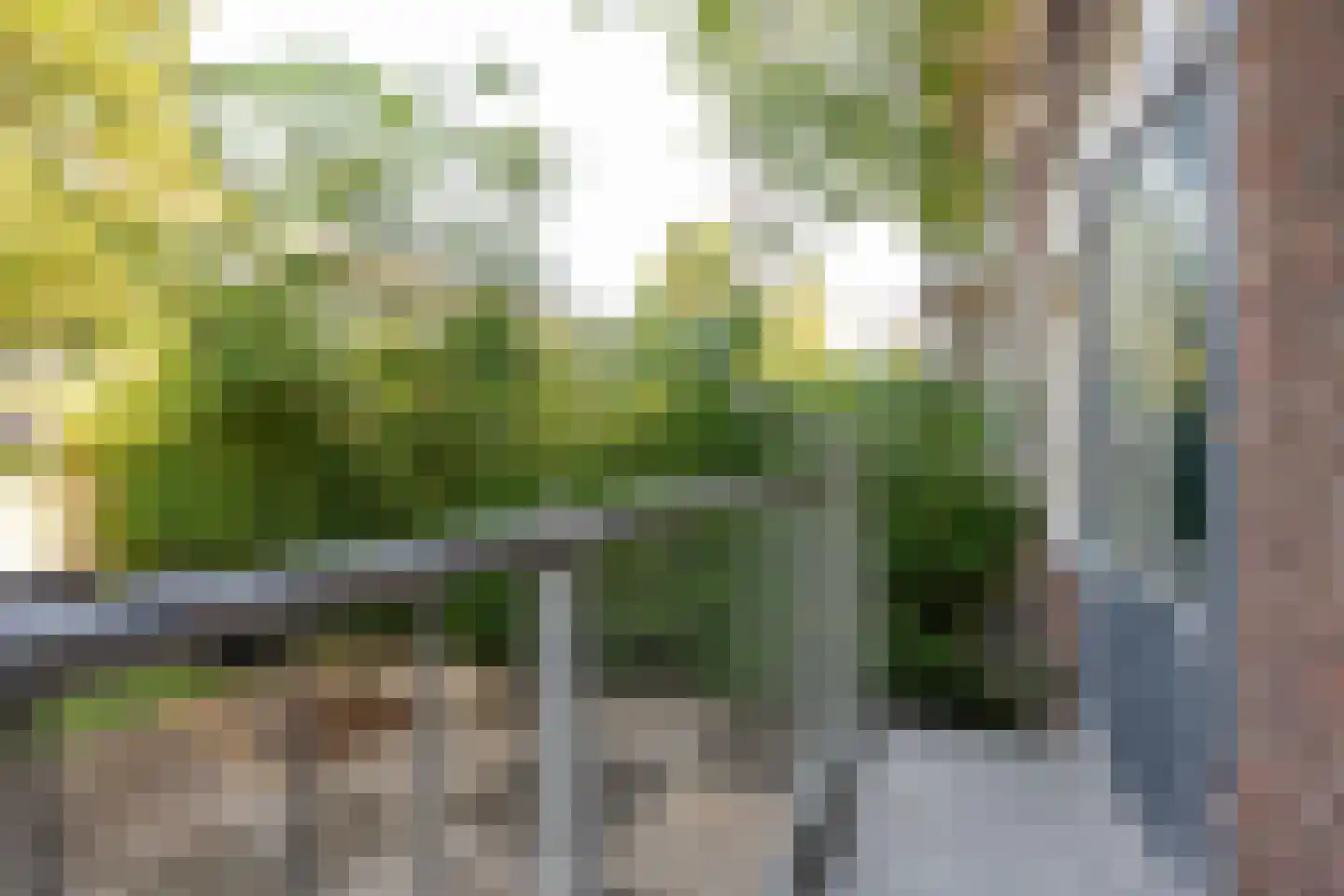 Tapuitstraat 49 A Rotterdam thumbnail 12