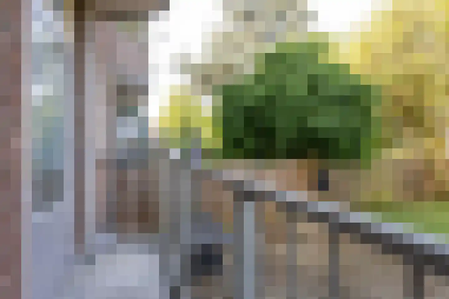 Tapuitstraat 49 A Rotterdam thumbnail 13